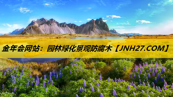 园林绿化景观防腐木